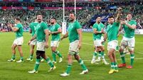 Ireland report clean bill of health after bruising South Africa showdown