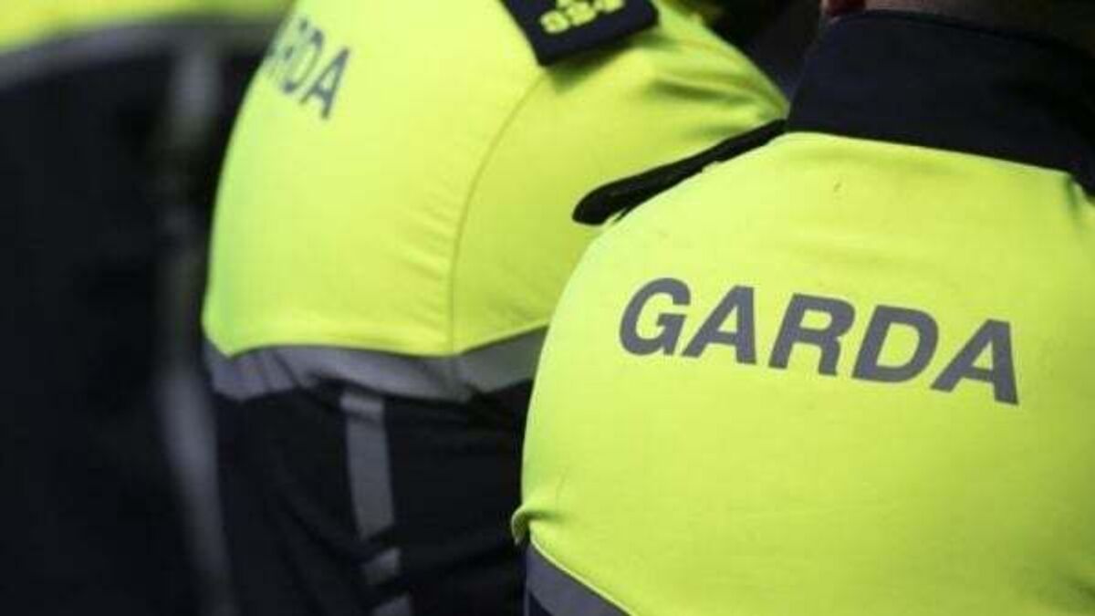 Helen McEntee urged to intervene as gardaí threaten to withdraw their labour