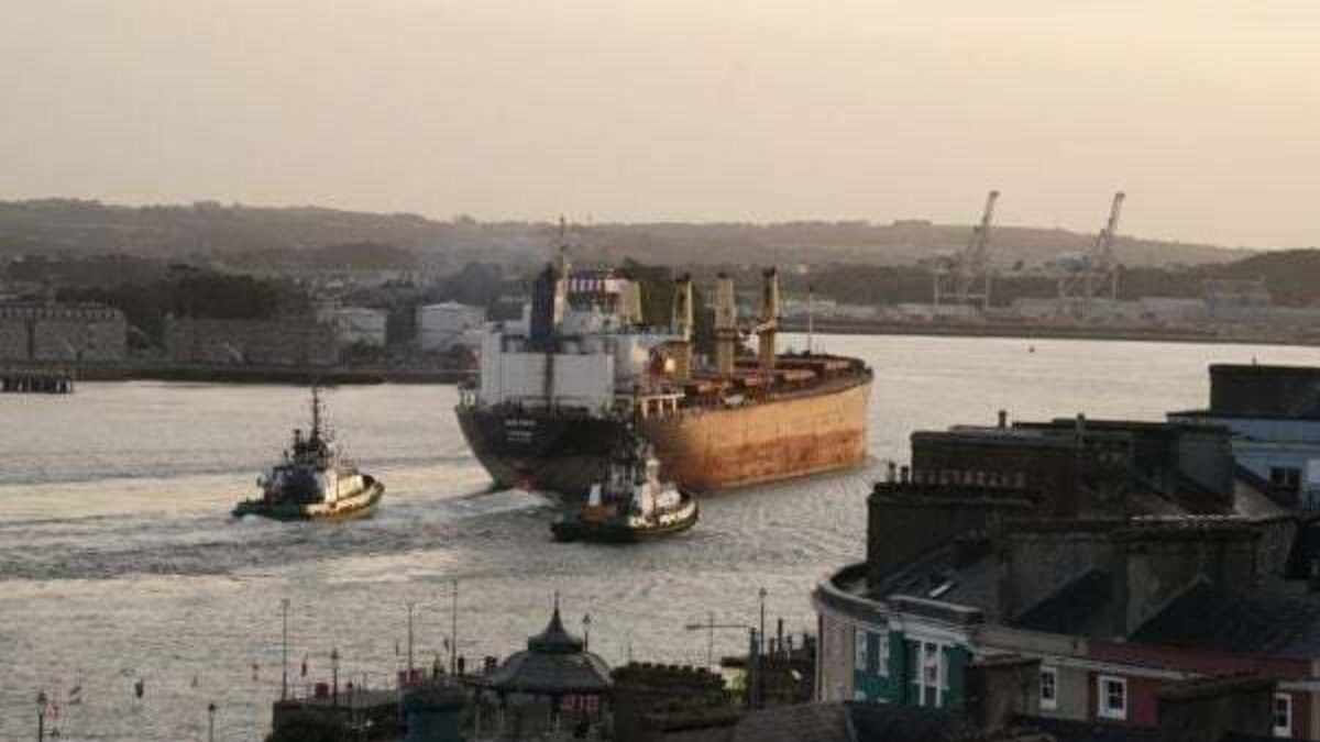 Seventh man arrested in probe into record drugs haul seized on cargo ship