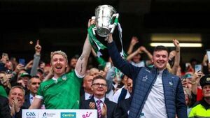 Limerick lead hurling all-stars with 14 nominations