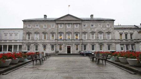 Extinction Rebellion activists avoid jail after locking themselves to gates of Leinster House