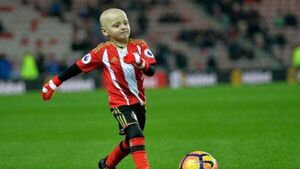 Man charged after Sheffield fans seen mocking death of young mascot Man charged after Sheffield fans seen mocking death of young mascot