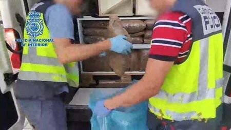 Spanish police arrest eight Chinese gang members accused of sending cannabis to Ireland