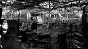 Butterly tells inquest he stands by malicious damage claim over Stardust fire Butterly tells inquest he stands by malicious damage claim over Stardust fire