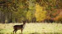Unusual October warm spell could see heat records broken this weekend