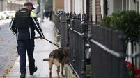 Arrest made over entry to Government Buildings amid extra security