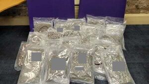 Man arrested as gardaí seize cannabis worth €420,000 in Dublin