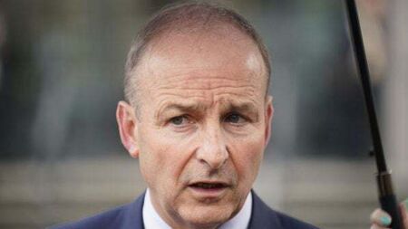 Sinn Féin housing policies based on ’empty rhetoric and soundbites’, says Martin