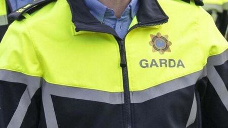 Teenage boy arrested after three injured during alleged assault in Co Kildare