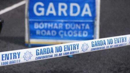 Motorcyclist (30s) dies after collision with van in Wicklow
