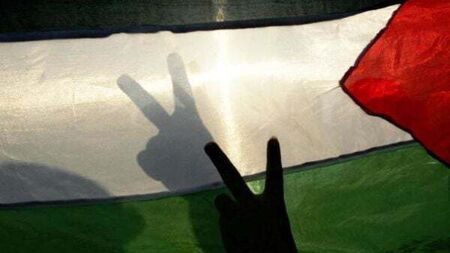 Palestine flag will not be flown over Dublin City Hall as council vote fails