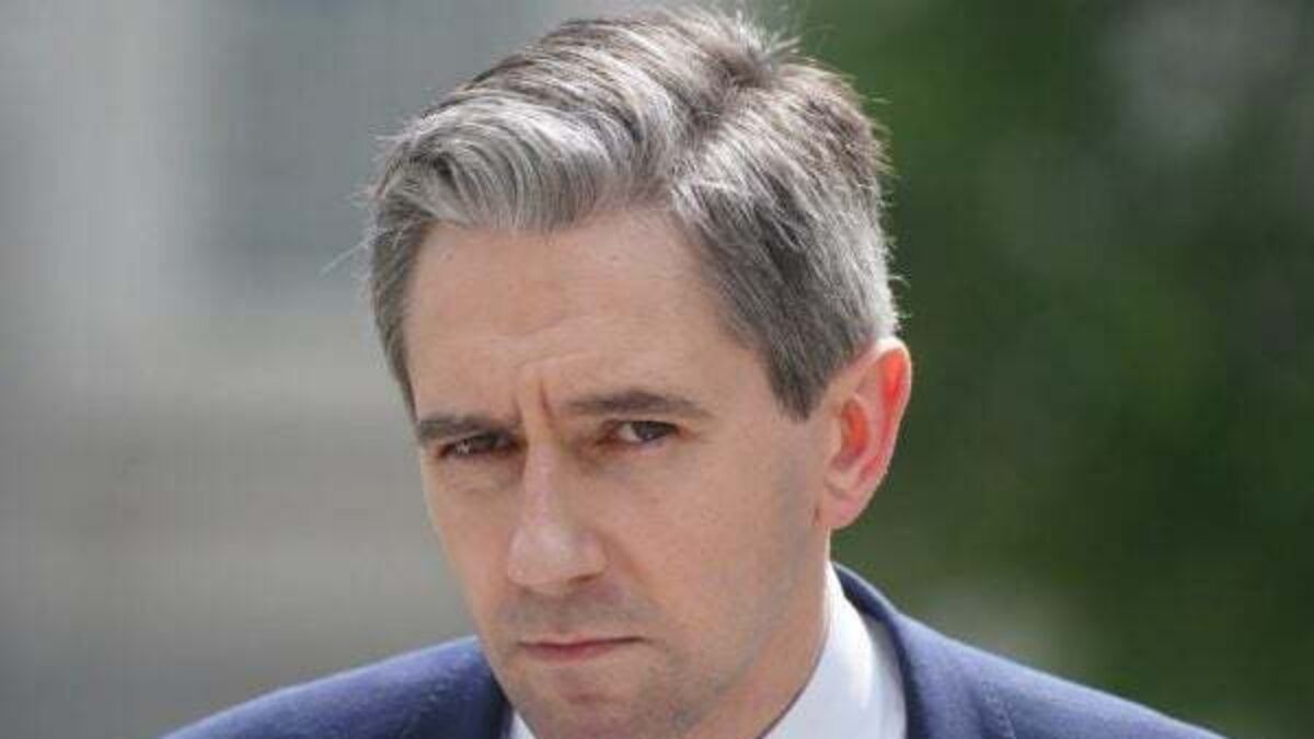 Harris: No chance of Fine Gael/Sinn Féin coalition after election