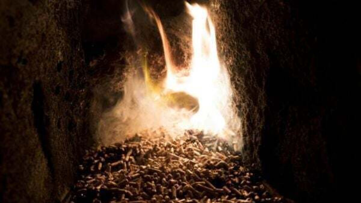 ‘Cash-for-ash’ boilers in North left to ‘gather dust’ as firms return to fossil fuels