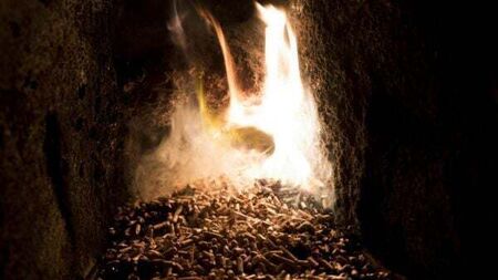 ‘Cash-for-ash’ boilers in North left to ‘gather dust’ as firms return to fossil fuels