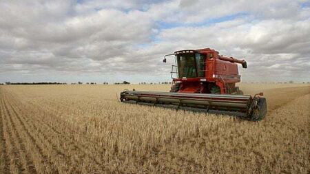 Man who took job as farmworker in New Zealand sues over 'horror movie' accident