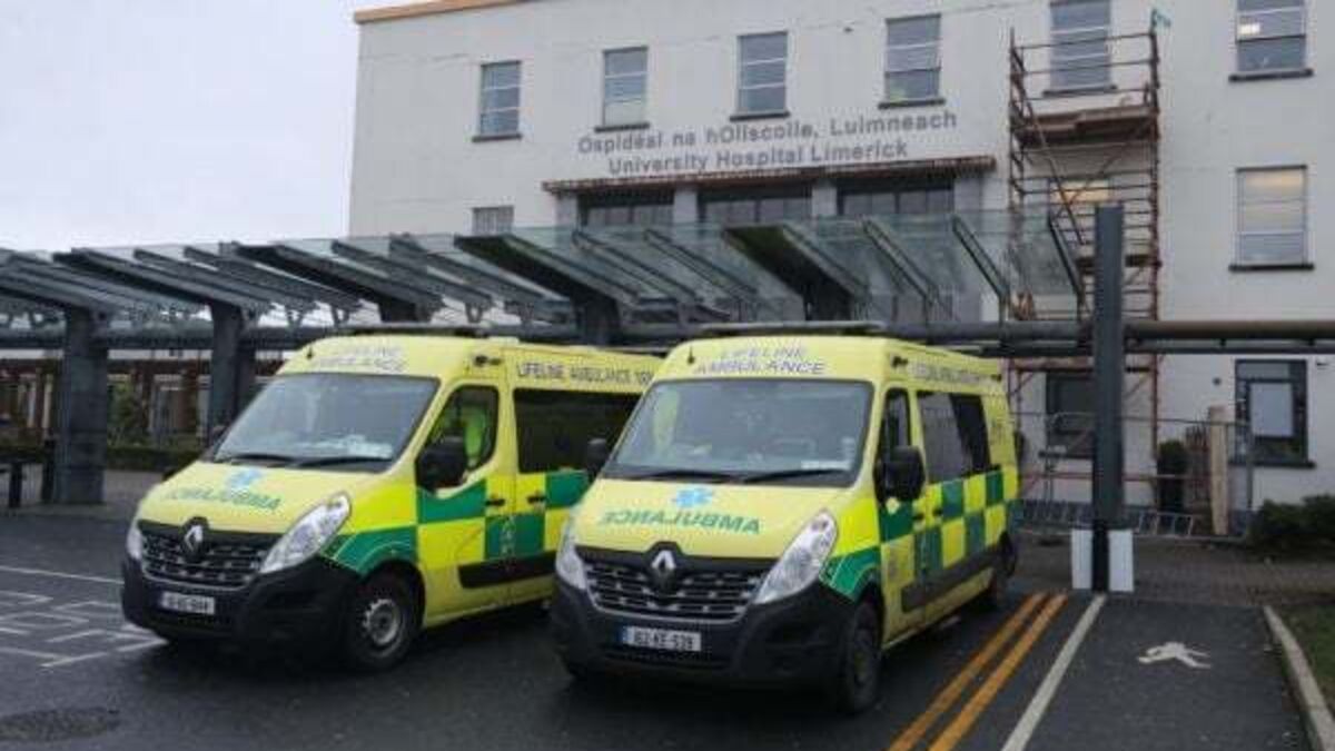 Bruising to 85-year-old Limerick hospital patients body could not be explained, inquest hears