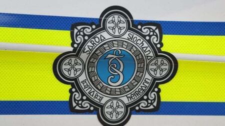 Gardaí appeal for witnesses after body of a man found in Tallaght