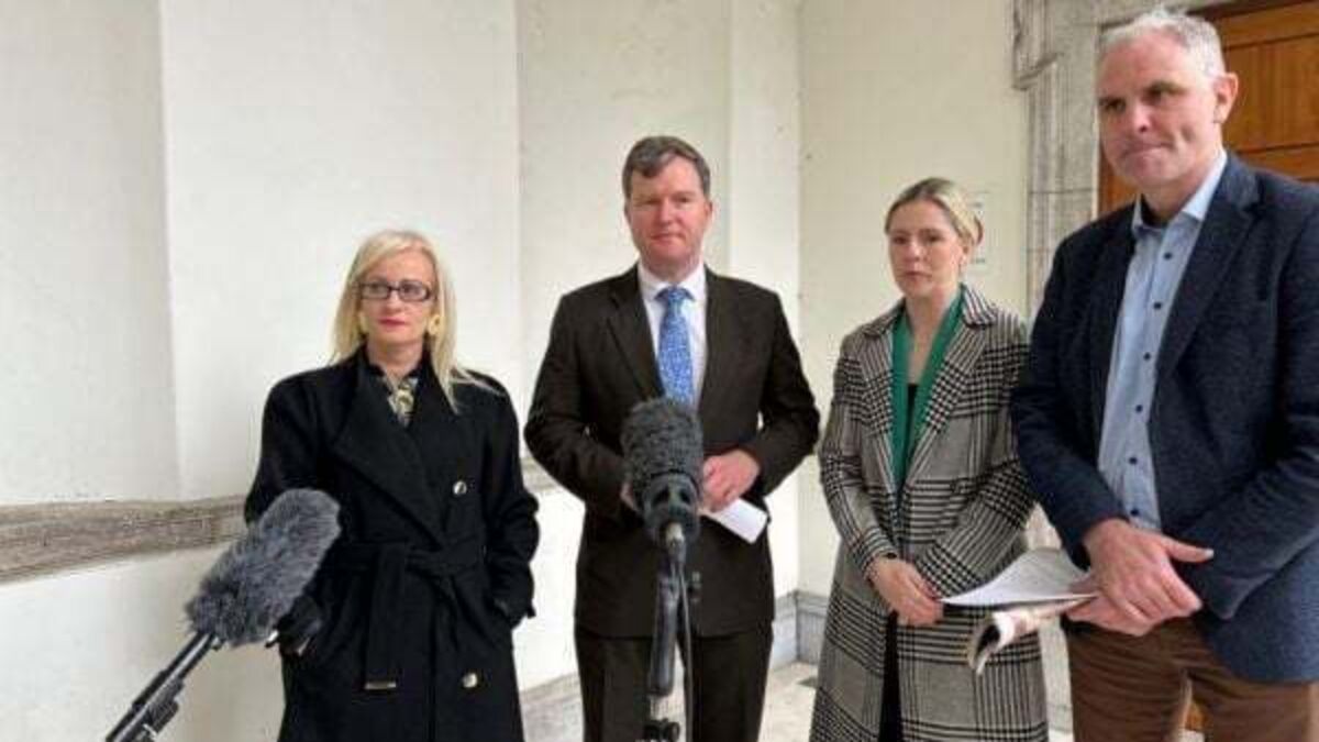 Fianna Fáil senators warn over ‘deepfake’ threat to elections
