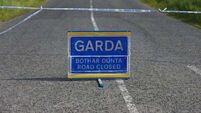 Man (80s) dies after being struck by car in Co Wexford