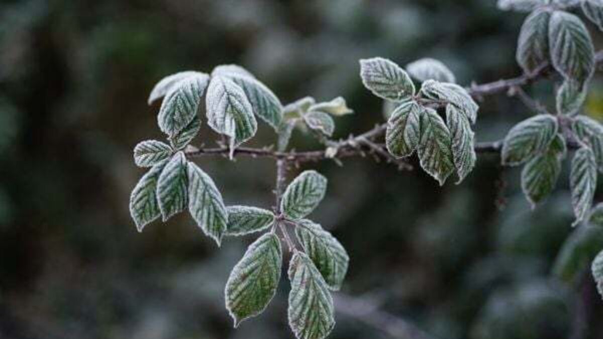 Temperatures to plunge again next week with chance of sleet and hail