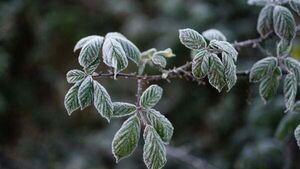 Temperatures to plunge again next week with chance of sleet and hail Temperatures to plunge again next week with chance of sleet and hail
