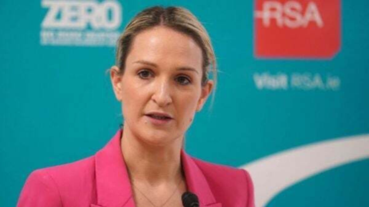 Helen McEntee seeks meeting with social media company after Dublin riots