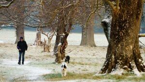 Weather: Arctic blast and sub-zero temperatures set to continue into next week Weather: Arctic blast and sub-zero temperatures set to continue into next week
