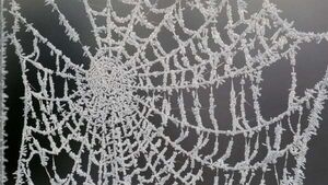 Cold snap brings warnings of ice and fog nationwide Cold snap brings warnings of ice and fog nationwide