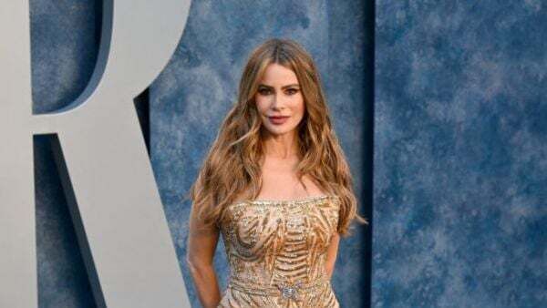 Sofia Vergara granted temporary restraining order against alleged stalker