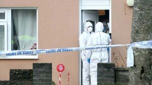 Second man arrested in connection with fatal stabbing in Tallaght