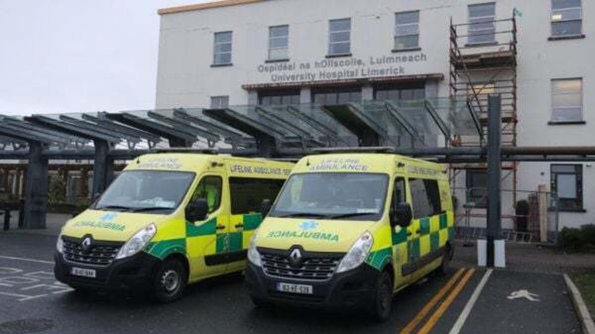 Family of Limerick woman who died in hospital after suicide attempt settle High Court action
