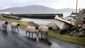 Ireland named best luxury newcomer destination by luxury travel magazine