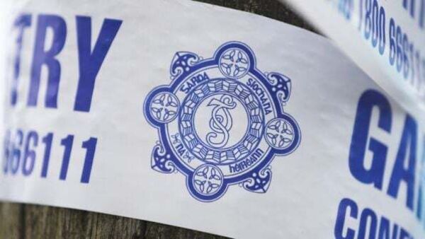 Ukrainian woman who died in her Dublin home suffered 'sharp force injuries', inquest told
