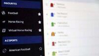 Horse racing industry’s fears over new gambling laws ‘will not be realised’, Martin says