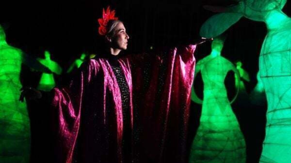 Illuminated artworks exhibition opens at National Botanic Gardens