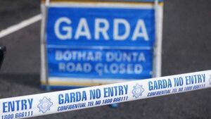 Woman (80s) killed in Meath collision