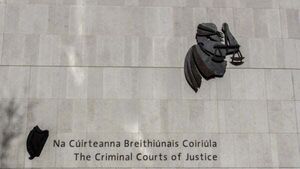 Kinahan cartel member 'Mr Nobody' pleads guilty to facilitating Noel Kirwan murder Kinahan cartel member 'Mr Nobody' pleads guilty to facilitating Noel Kirwan murder