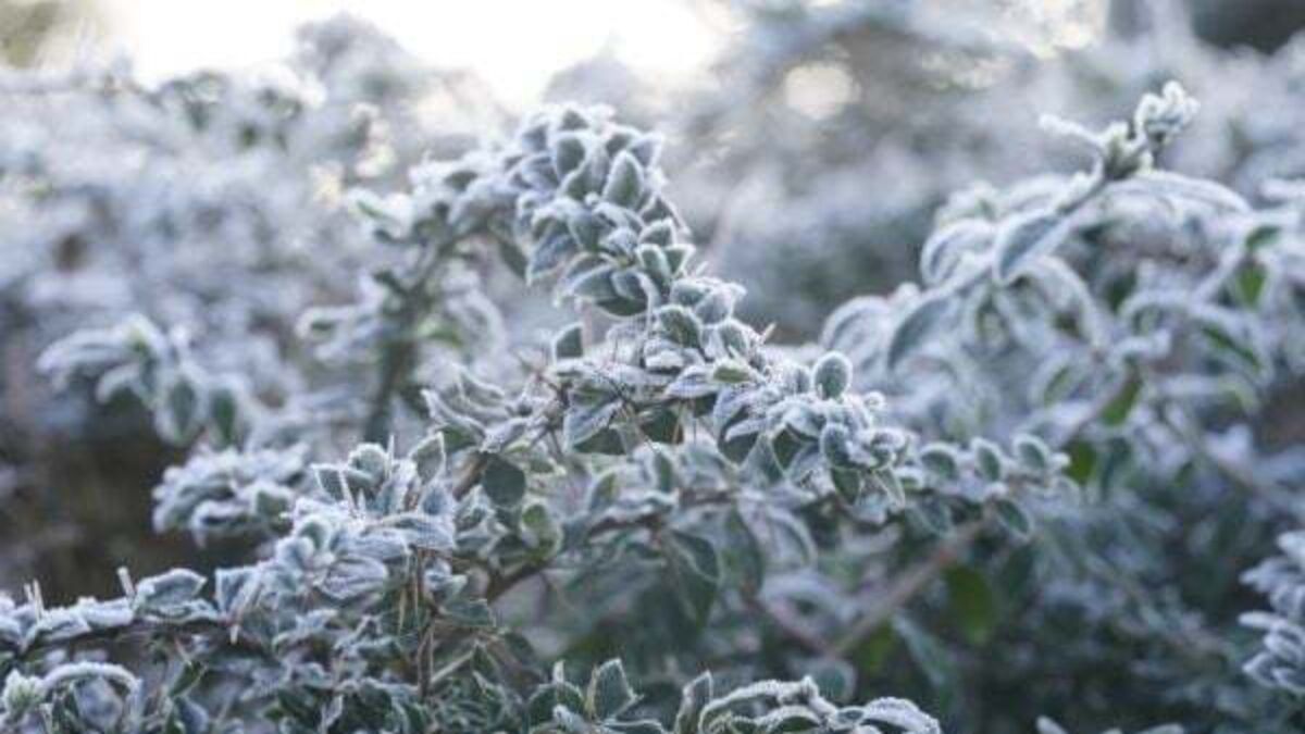 Freezing temperatures cause travel disruption as new ice warnings issued