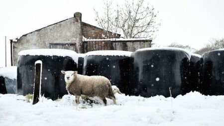 Cold snap continues to bite as temperatures plummet to -6 overnight