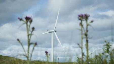 Wind farms supplied 35% of electricity last year