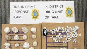 Gardaí seize drugs worth €80,000 after search of Dublin wasteland Gardaí seize drugs worth €80,000 after search of Dublin wasteland