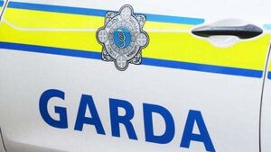 Man (20) who led gardaí on high-speed chase only got out of car when officers produced firearms Man (20) who led gardaí on high-speed chase only got out of car when officers produced firearms