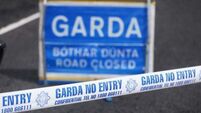 Motorcyclist dies in Co Limerick road crash
