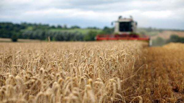 Irish farmer injured in New Zealand farm incident awarded €3.4m