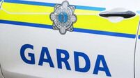 Pedestrian (70s) dies after getting knocked down by jeep in Dublin