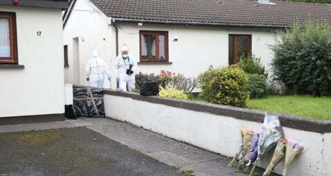 Dublin man receives life sentence for 'ferocious' murder of 'timid and quiet gentleman'