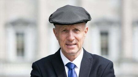 Man charged with intimidation of Michael Healy-Rae outside Government Buildings