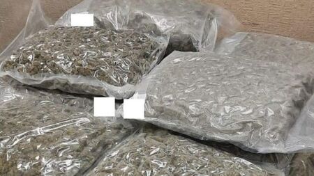 Man arrested as gardaí seize cannabis worth €540,000