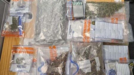 Gardaí arrest two men after cash and drugs seizures in Co Westmeath