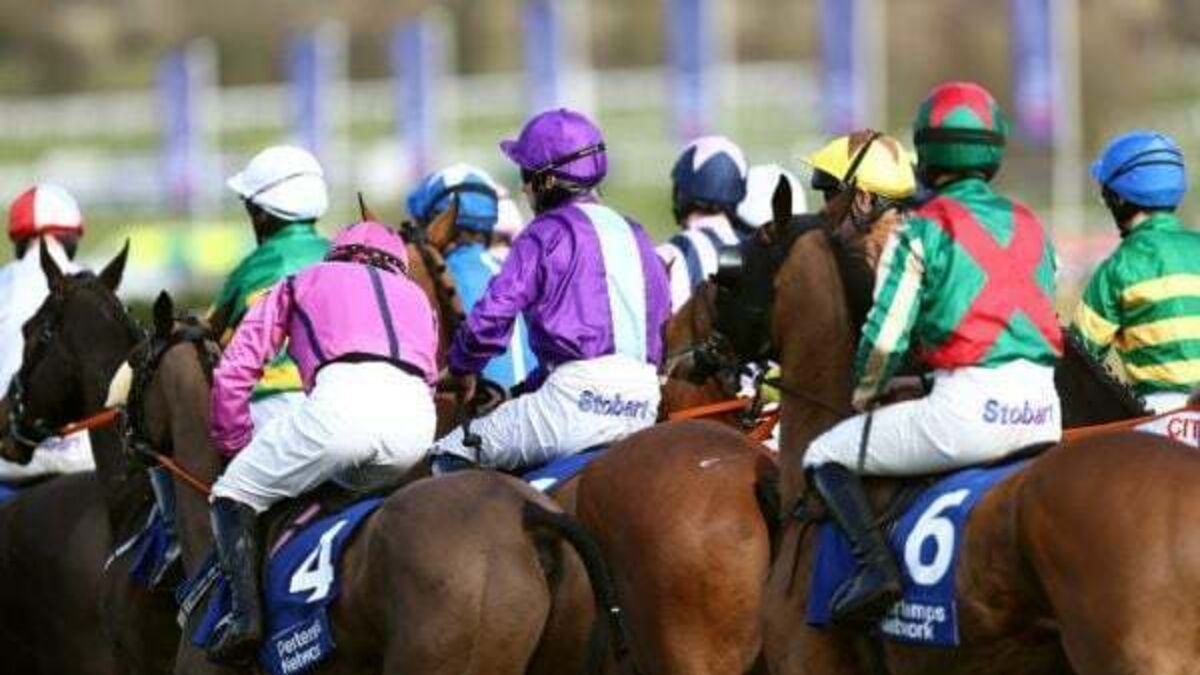 Cheltenham Quiz: How many festival wins has Willie Mullins under his belt?